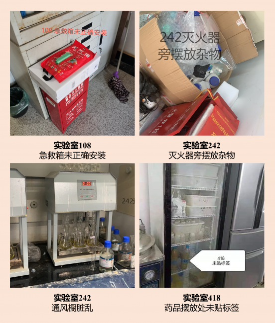 图片5 图片5
