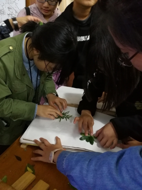 傍晚员工正在学习如何压制植物标本 傍晚员工正在学习如何压制植物标本