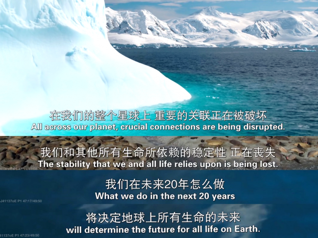 图片1 图片1
