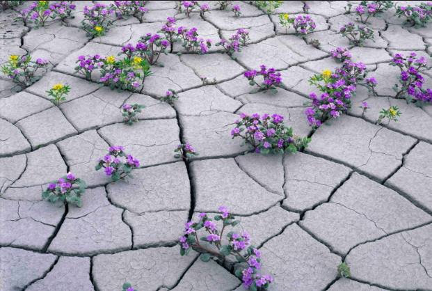 QQ截图20231218171912.png QQ截图20231218171912.png