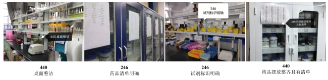 图片13 图片13